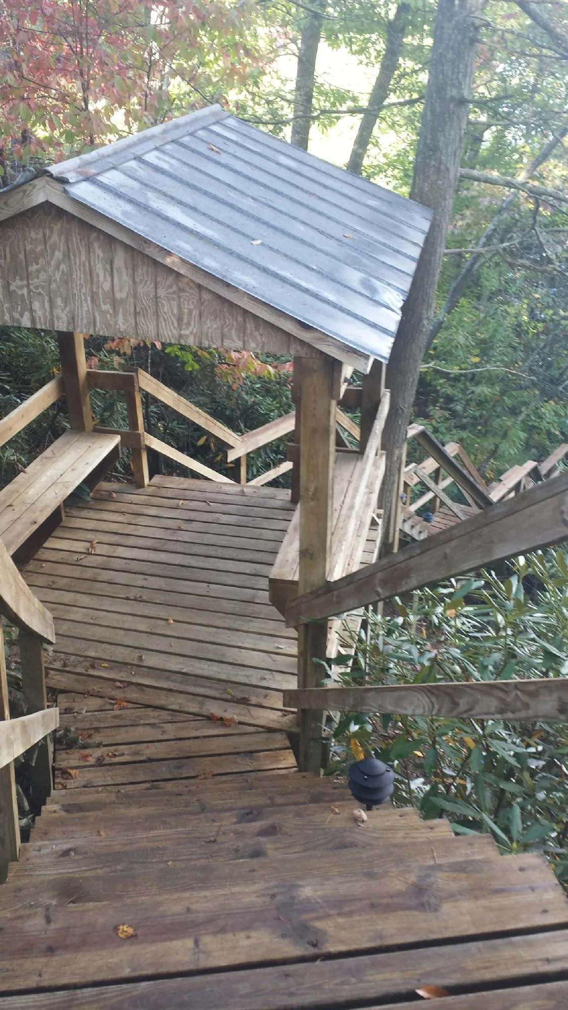 Metal roofed shelter over wooden steps on a wooded walkway — Skylight Repair & Installation work by our crew in Lascassas