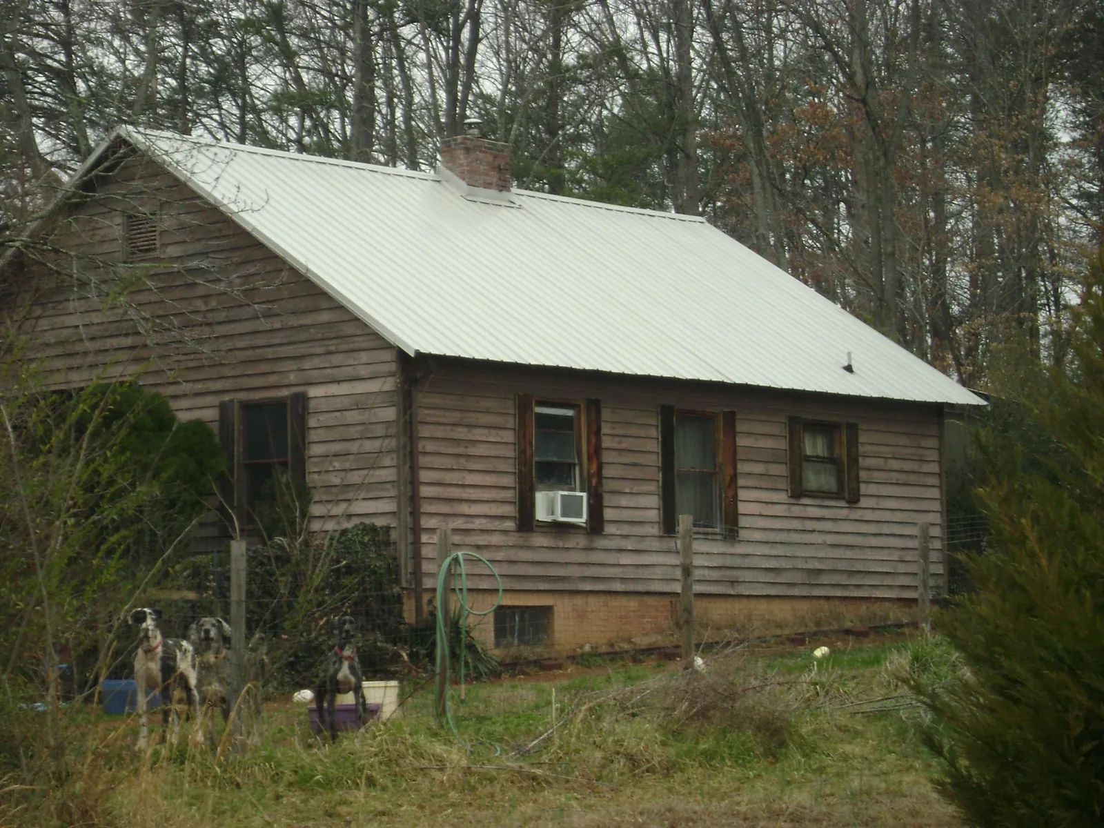 White metal roof on an old wood sided farmhouse, from a Asphalt Shingle Roof Repair job in Lascassas